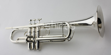 Фото Музыкальный дивертисмент для двух труб и рояля